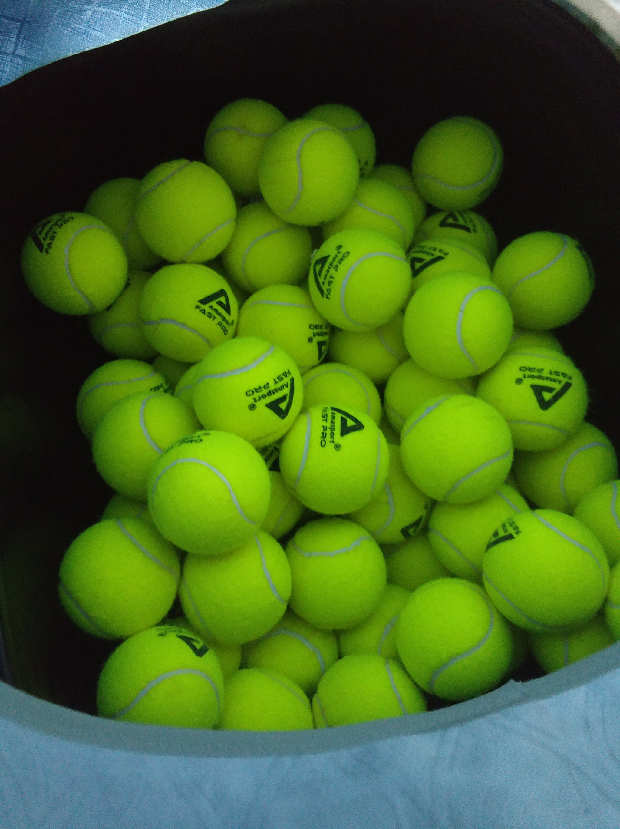 毫无疑问 毫无疑问